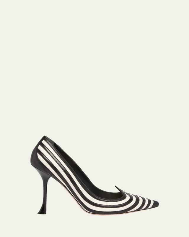 I Love Vivier Bicolor Stripe Pumps